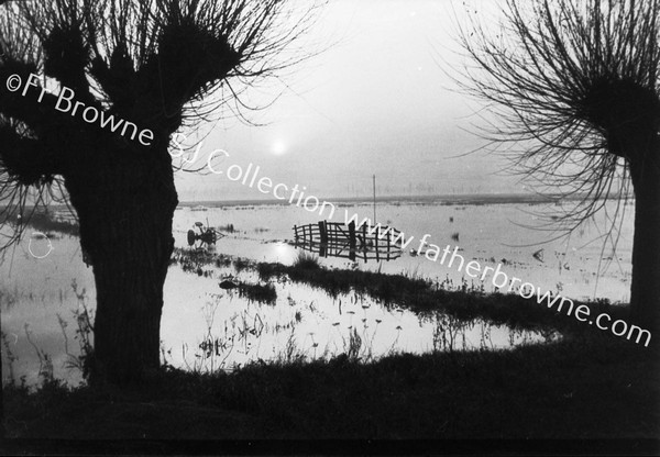 BECCLES MARSHES FLOODTIME